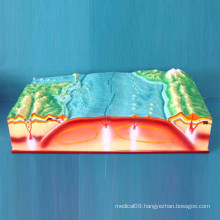 Plate Tectonics and Surface Geography Model (R210102)